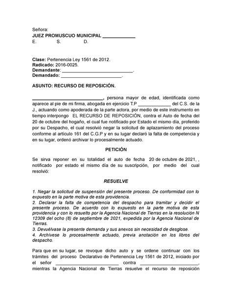 Recurso de reposicion Señora JUEZ PROMUSCUO MUNICIPAL