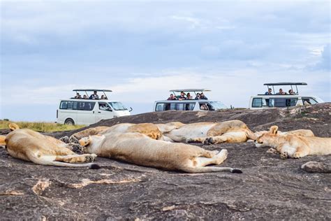 3 Days 2 Nights Masai Mara Kenya Safari