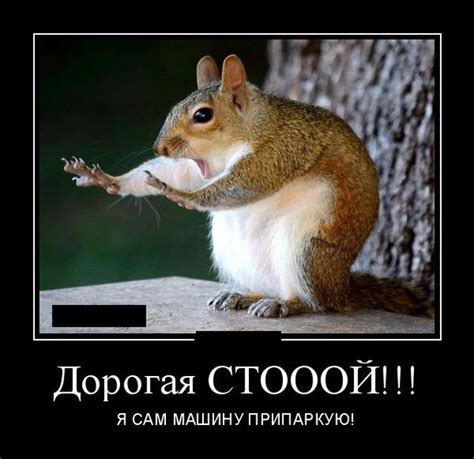 Весёлые картинки - демотиваторы / Приколы