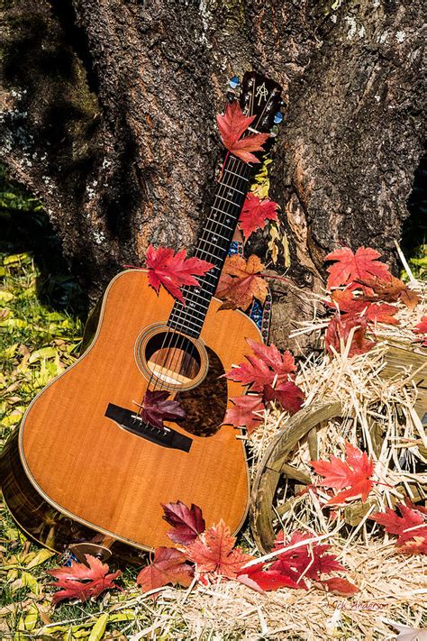 Autumn Guitar Photograph by Mick Anderson - Fine Art America