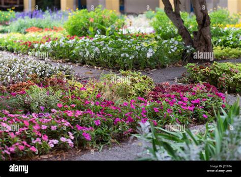 Van Gogh Arles Garden Hi Res Stock Photography And Images Alamy