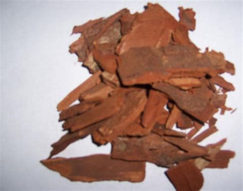 Yohimbe Bark Extract Yohimbe Extract Yohimbine Hcl Tradekorea