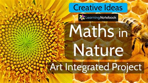 Maths In Nature Maths In Nature Project Youtube