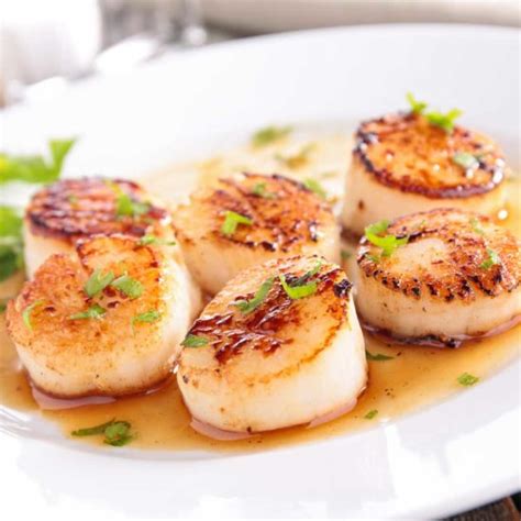 Fresh Sea Scallops For Sale Buy Online Camerons Seafood