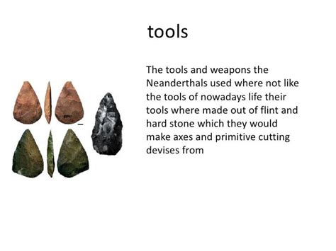 Neanderthals powerpoint