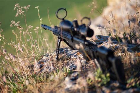 Sniper Rifle with Bipod on Combat Position Stock Image - Image of arms ...