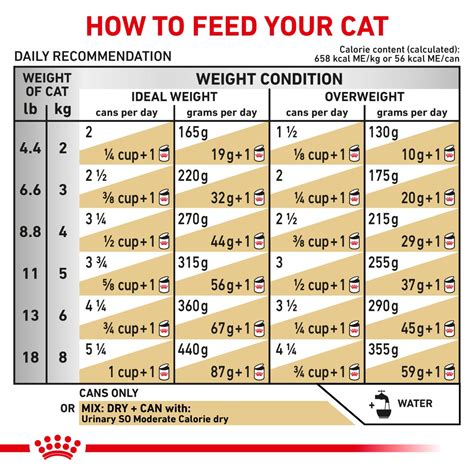 Feline Urinary So Moderate Calorie Morsels In Gravy Royal Canin Us