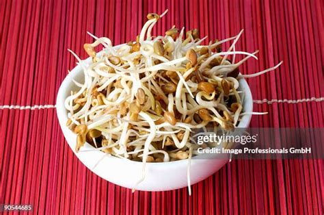 Fenugreek Sprouts Photos and Premium High Res Pictures - Getty Images