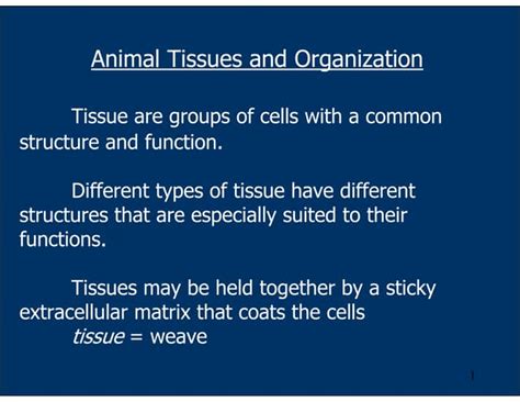 types of cells in animal tissue(epithelial).pdf