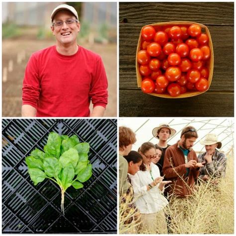 At High Mowing A Happy Organic Mix Of Hybrids Heirlooms And Modern