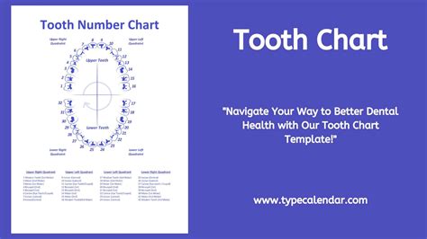 Teeth Numbers Quadrants