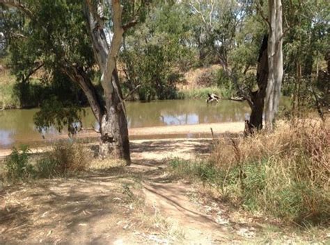 Cowra Photos Featured Images Of Cowra New South Wales Tripadvisor