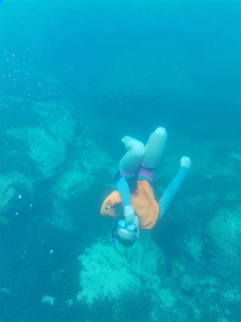 Citrus County School District - There are no tricks in learning, just