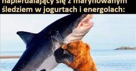 Heheszki Humorobrazkowy Memy Zaczytanaa Wykop Pl