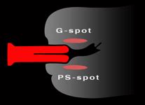 Review Split Dildo Hey Epiphora