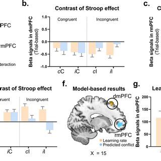 Common Neural Mechanism For The Social And Nonsocial Stroop Effects A