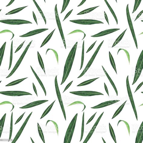 Seamless Pattern Of Fireweed Leaves On White Background Watercolor Hand