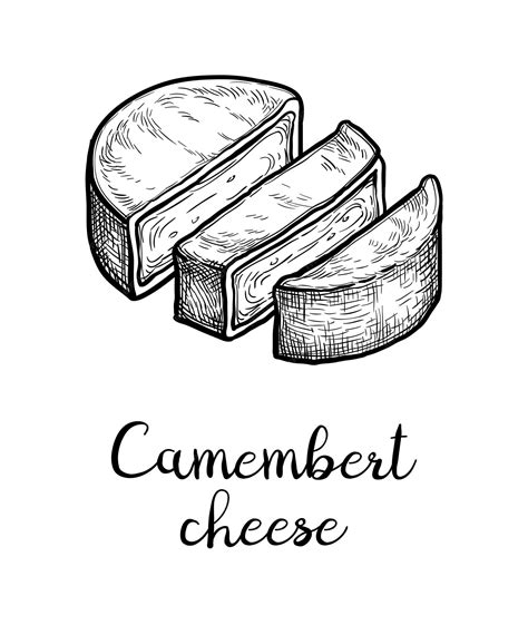 Premium Vector Camembert Cheese Ink Sketch