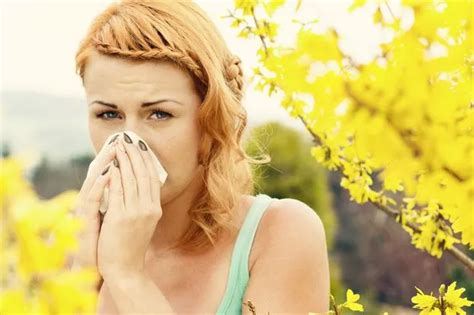 Hay Fever Warning Over Super Pollen Event As High Uv Levels Hit Devon And Cornwall Devon Live