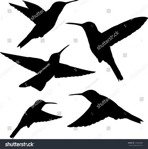 Set Of Five Detailed Black Hummingbird Silhouettes Isolated On White