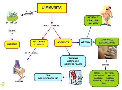 Mapper Immunita