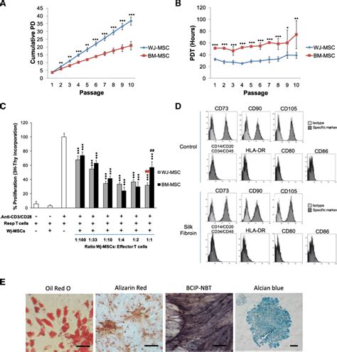 Proliferation Kinetics Of Wj Mscs And Bm Mscs Overextended In Vitro Download Scientific Diagram