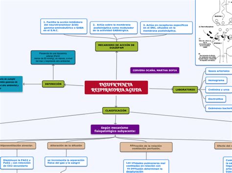 INSUFICIENCIA RESPIRATORIA AGUDA Mind Map