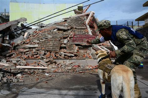 Qu Pas En El Terremoto De En M Xico Once Noticias