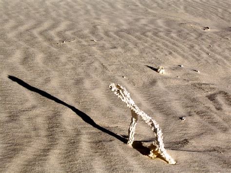 What Really Happens When Lightning Strikes Sand Discover Magazine