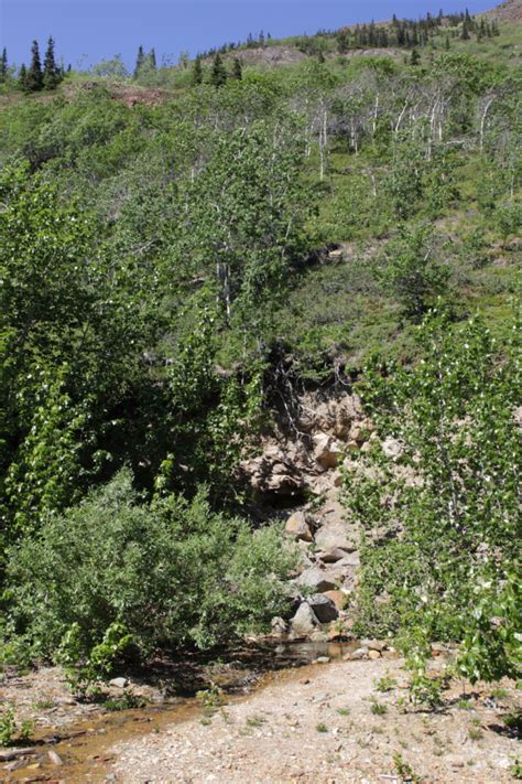 Celebrating World Naked Hiking Day The Right Way The Explorenorth Blog