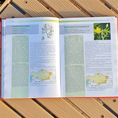 Красная книга