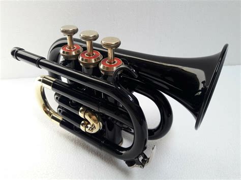 Sai Musical Store Bb POCKET TRUMPET Low Pitch Brass Musical Instrument ...