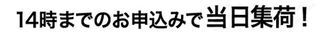 【ブックオフの出張買取】詳しく解説！特徴や評判、よくある質問まとめ【宅配買取との比較あり】 古本漫画買取のvaboo！