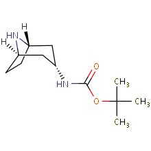 现货供应九鼎化学Exo 3 BOC Amino 8 azabicyclo 3 2 1 octane 纯度95 1