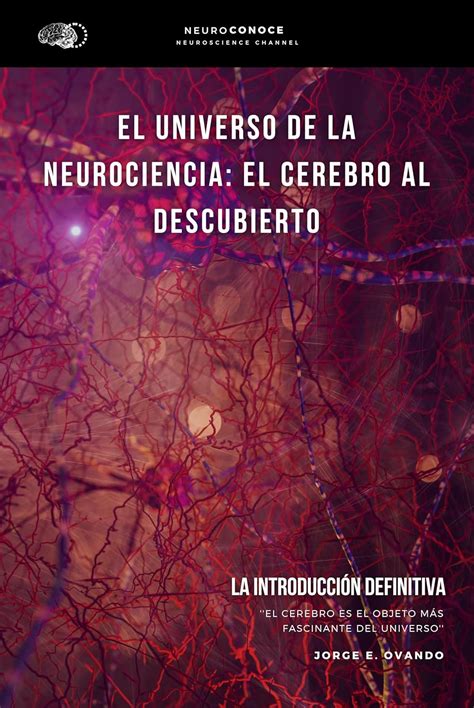 El Universo De La Neurociencia El Cerebro Al Descubierto La