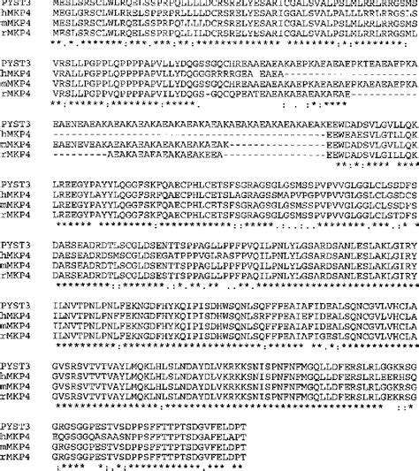 Figure From Dual Specificity Mitogen Activated Protein Map Kinase