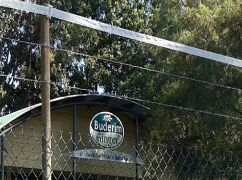 Wildlife Mortality And Injury From Barbed Wire Fences