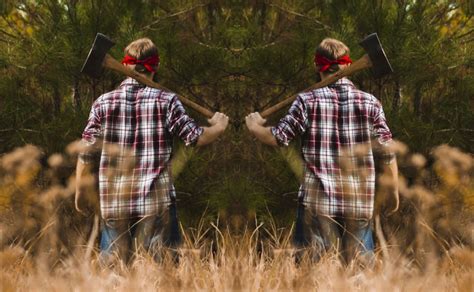 Горе-лісоруби завдали збитків Миргородському лісгоспу - Решетилівщина.UA