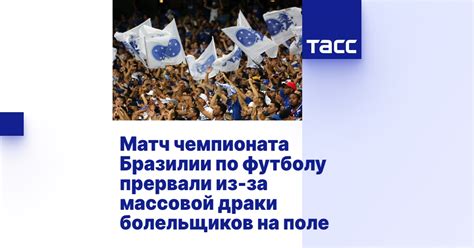 Матч чемпионата Бразилии по футболу прервали из-за массовой драки ...