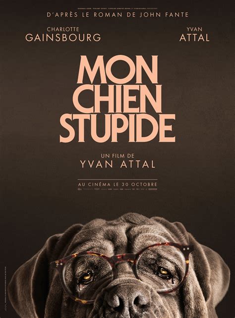 Affiche Du Film Mon Chien Stupide Photo Sur Allocin