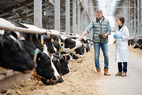 Safeguarding Agriculture The Vital Role Of Farm Biosecurity Telegraph