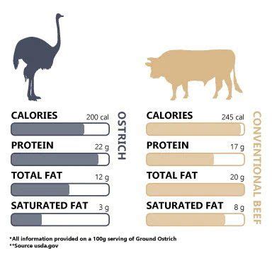 Ostrich Nutritional Charts | Ostrich meat, Ostrich, Healthy red meat