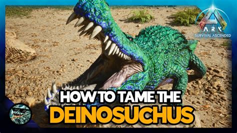 How To Tame The New Deinosuchus Ark Survival Ascended YouTube