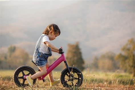 Nos Conseils Pour Bien Choisir Votre Draisienne Journallecourrier