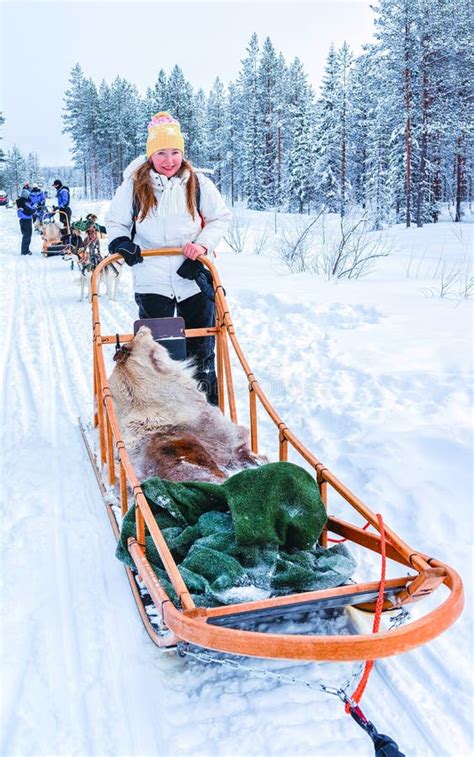 Une Femme Faisant De La Traîneau à Chiens Husky En Finlande Dans Un