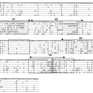 Sequence comparison of the gp120 molecules from different isolates ...