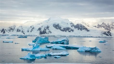 Préparer voyage en Antarctique guide complet et astuces