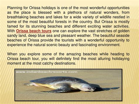 Ppt Explore The Real Beauty Of Orissa With Orissa Beach Holidays