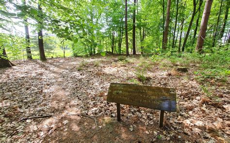 Blauwe Bos Archieven Beleef Het Lage Noorden