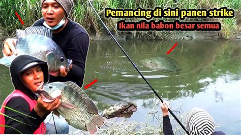 Spot Sungai Sarang Ikan Nila Babon Pemancing Panen Strike Mancing Di